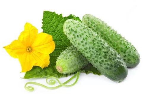 吃瓜系统江婉仪