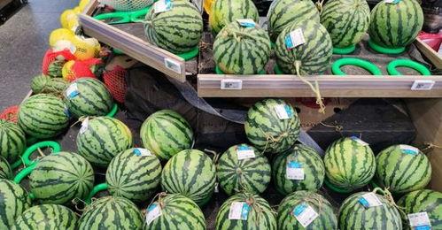 柯桥布料市场吃瓜,揭秘纺织行业的“吃瓜”现场