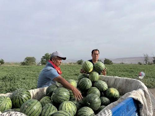 国配闲聊吃瓜基地