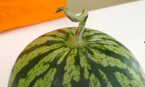 瓜脐西瓜怎么吃,解锁夏日清新美味