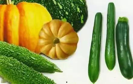 吃瓜拉客,揭秘网络红人的吸粉秘诀