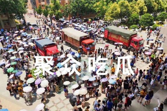 各大高校吃瓜链接,揭秘各大高校吃瓜事件背后的真相