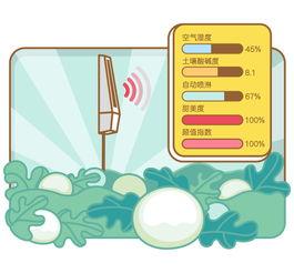 回家吃瓜的音乐
