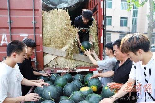 咸阳校园吃瓜事件,揭秘校园网络舆论风波