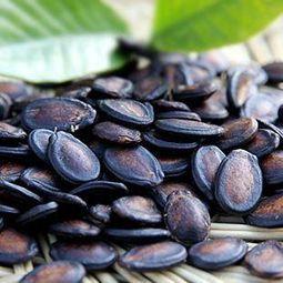 拿瓜子吃瓜照片,吃瓜乐趣无限——捕捉瓜界美食瞬间