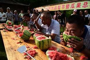 吃瓜盛况,揭秘全民吃瓜盛况背后的狂欢与思考