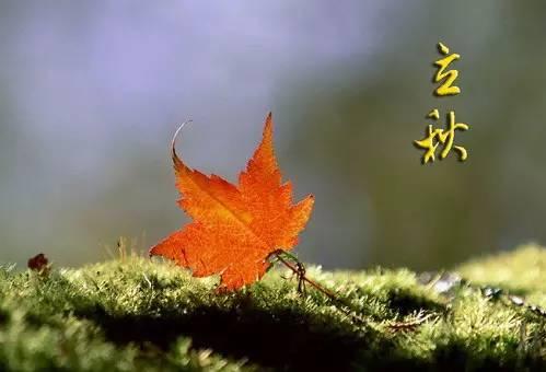 立秋吃三瓜寓意,寓意丰收与健康