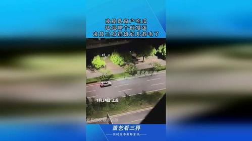 趴窗户吃瓜视频,揭秘“趴窗吃瓜”的趣味瞬间