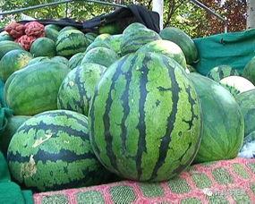 日本玲珑瓜怎样吃